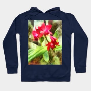 Maroon Cattleya Orchids Hoodie